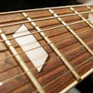 picture of frets on guitar neck